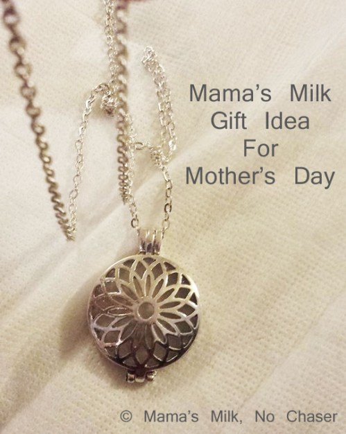 10712841_2341569789206_888327274654455674_n_edited-1