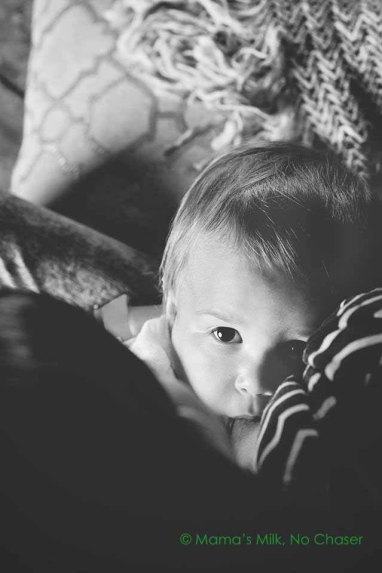 Photo Credit: Sugarsnap Photography