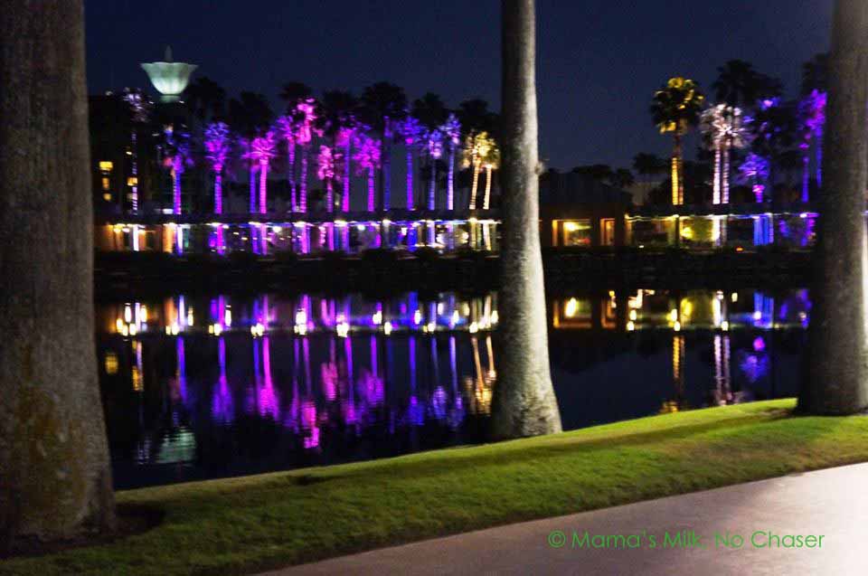 11062337_2410679356902_3101259459521365860_n