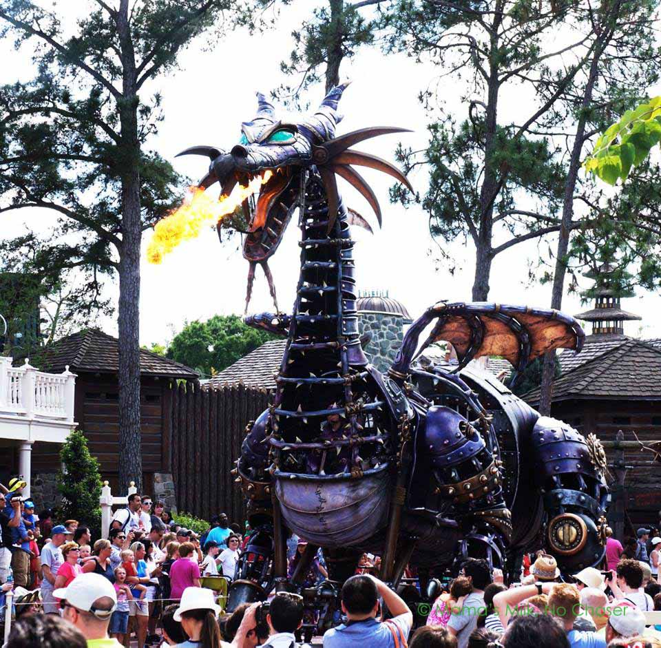 11146214_2410735478305_5792253726650438459_n