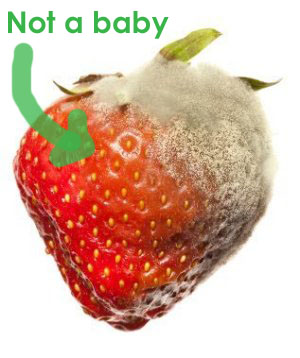 moldy_strawberry_s copy