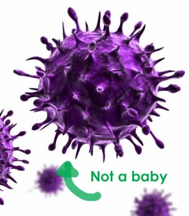 Ten-10-Dangerous-Viruses-for-Your-Health copy