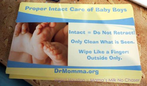 11816165_1158894207461252_6712296201340415821_o