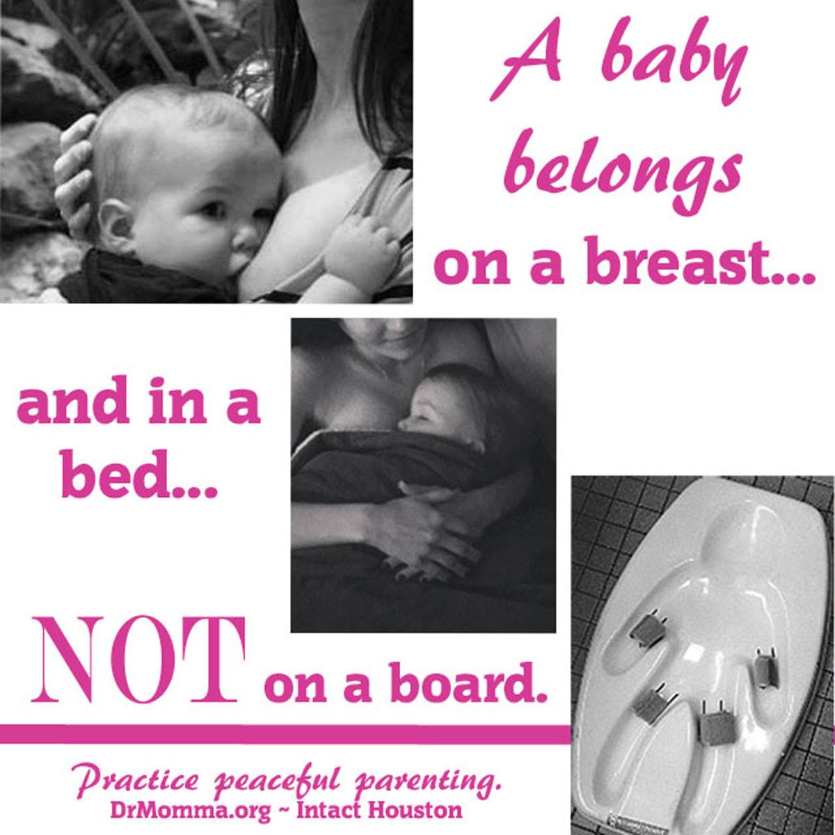 11780041_1156776601006346_6682059576398033979_o