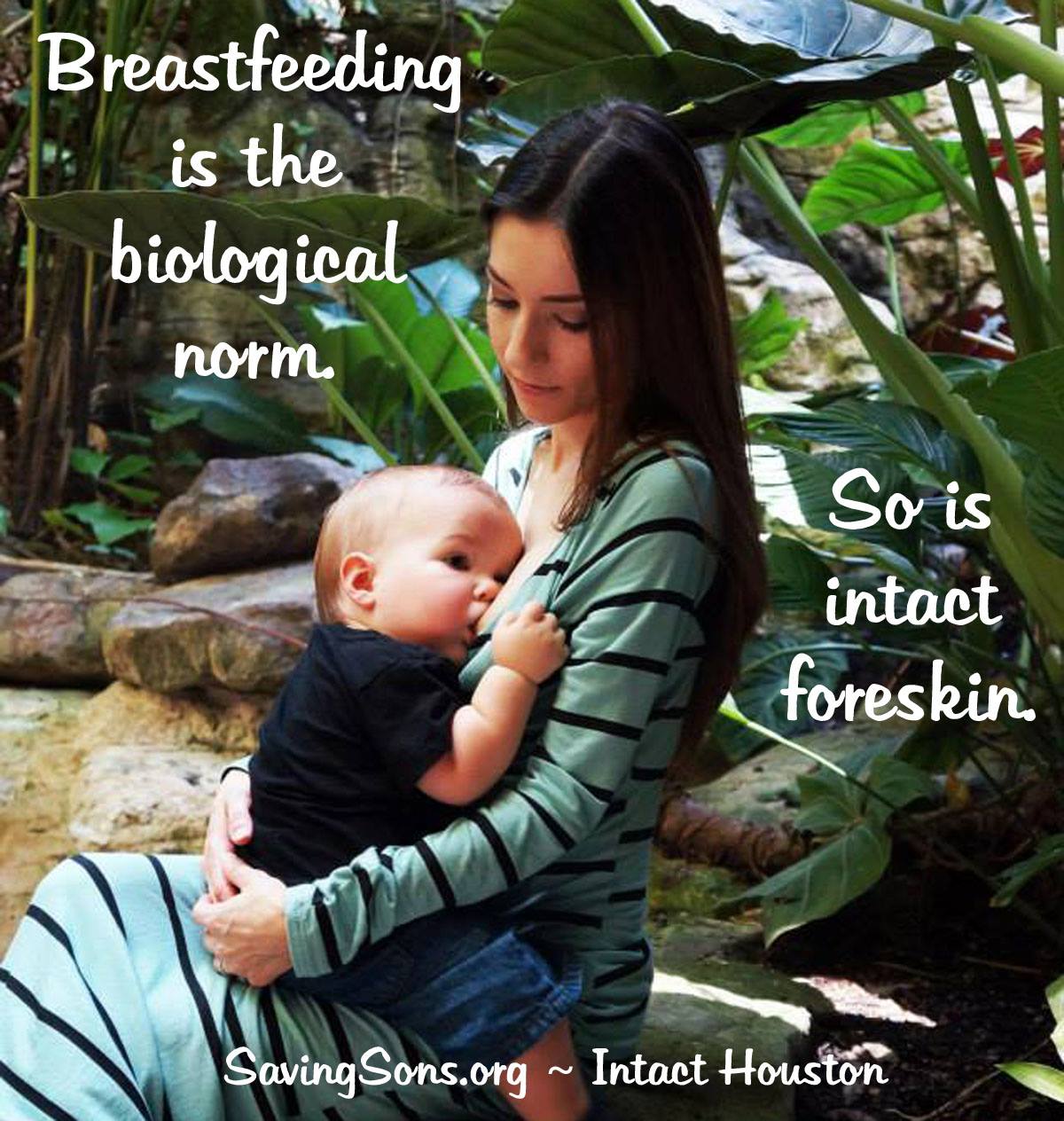 11794588_1160401403977199_5823424488001561726_o