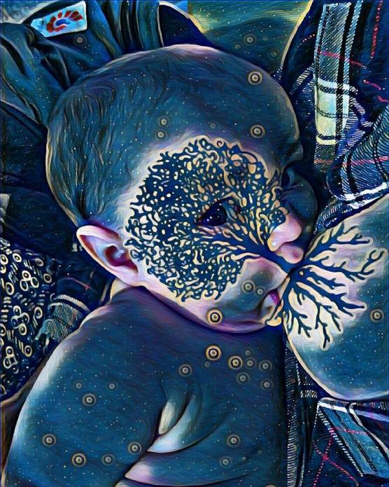 15541518_2925225580236_8829706924846087809_n