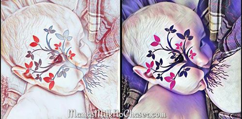 15578569_2196651820560013_5166829880506444288_n