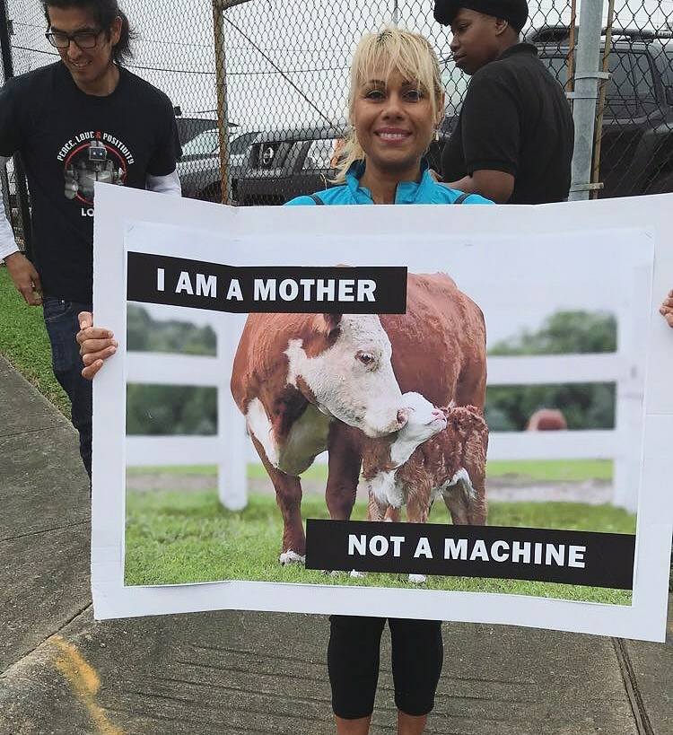 30415554_3324626965021_2151051811427433378_n