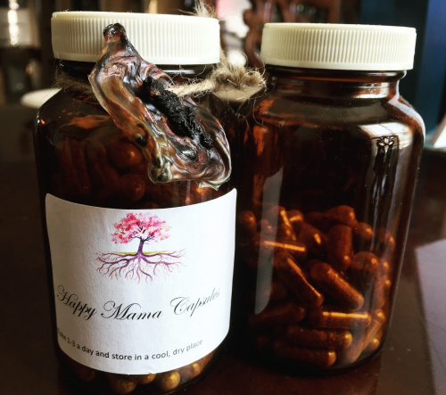 13147450_2041023632789500_5320283462810703480_o