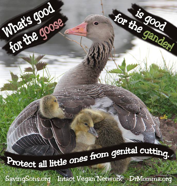 18835565_308311689619452_6125204986570363573_n