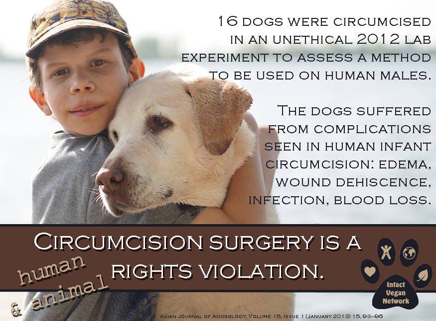 26165812_398134620637158_6247102256996202203_n