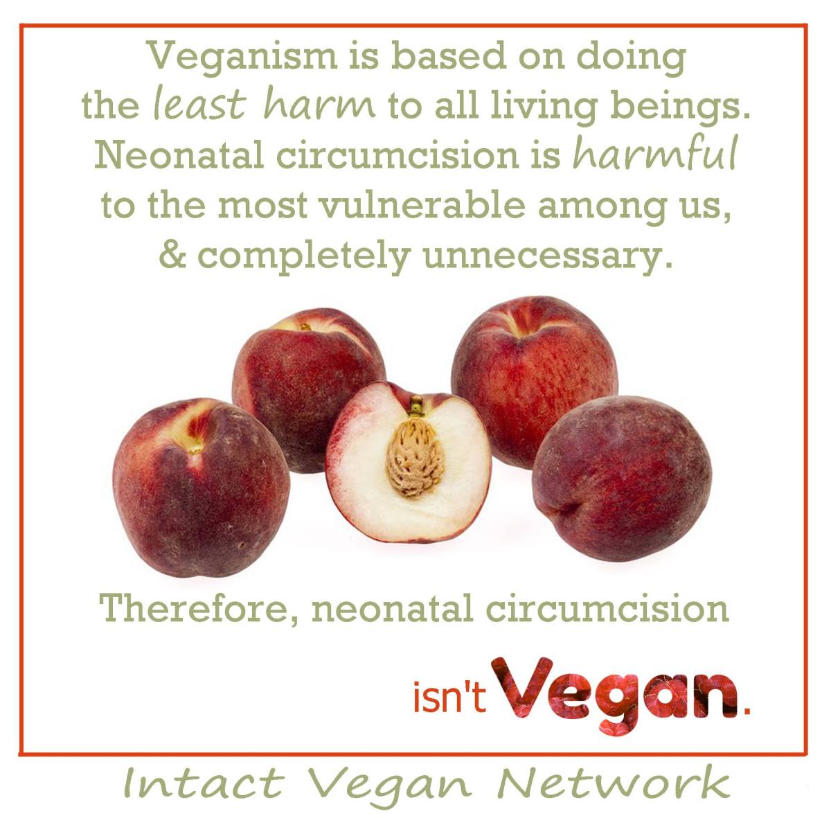 30531230_443177952799491_3572623860614299648_o