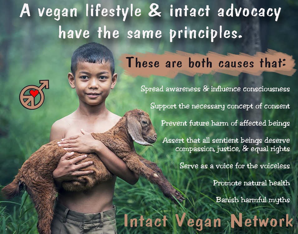 boy-1807545_960_720 copy