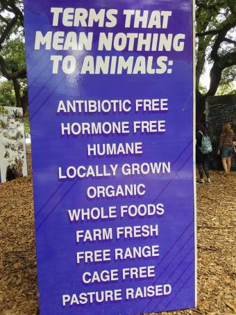 34323480_3357123417412_1167363744456507392_n