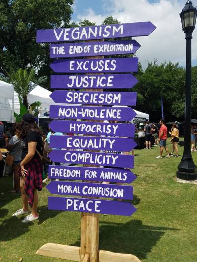 34345984_3357121337360_6917639068998172672_n