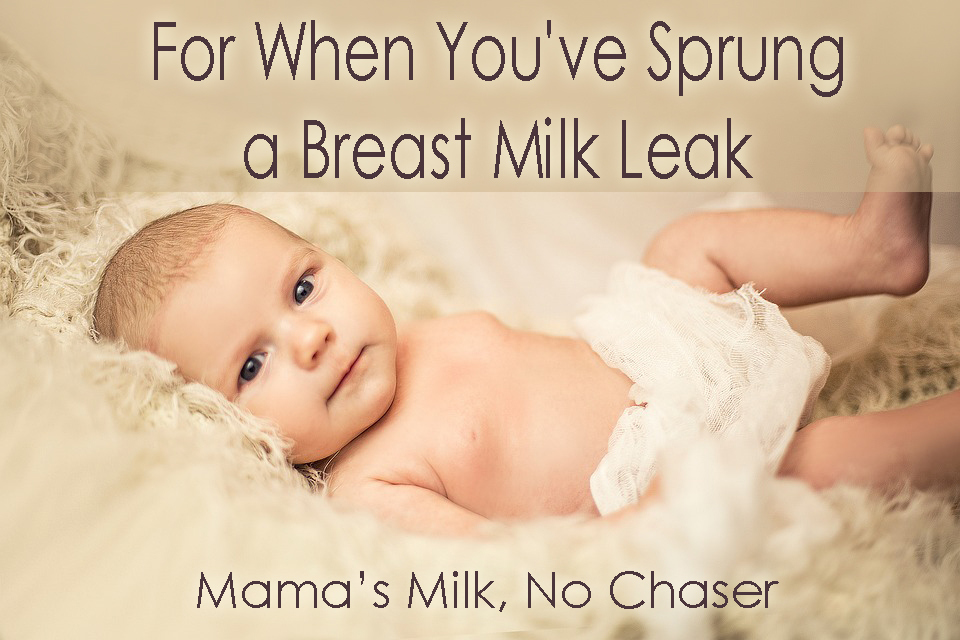 bighead-2974601_960_720 copy